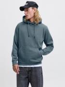 Jack & Jones Hoodie JJEBRADLEY SWEAT HOOD NOOS