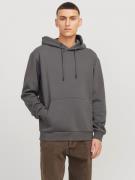 Jack & Jones Hoodie JJEBRADLEY SWEAT HOOD NOOS