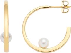 LEONARDO Paar creolen Oorbellen Lucinda, 024332