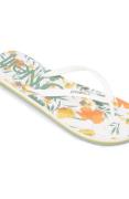 O'Neill Teenslippers PROFILE GRAPHIC SANDALS
