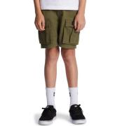 DC Shoes Cargoshort Toendra