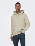 ONLY & SONS Hoodie ONSCERES HOODIE SWEAT NOOS