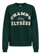 JDY Sweatshirt JDYMESA L/S O-NECK EMB SWEAT JRS NOOS