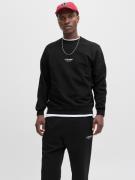 Jack & Jones Sweatshirt JJESOHO SWEAT CREW NECK NOOS