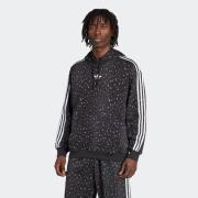 adidas Originals Hoodie GRAPHIC LO HD