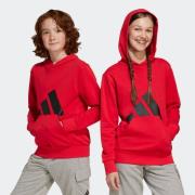 adidas Sportswear Hoodie J BL FT HD 280