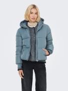 JDY Gewatteerde jas JDYNEWERICA LIFE SHORT HOOD JKT OTW NOOS