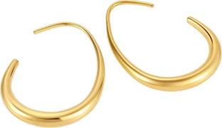 Firetti Paar oorhaken Sieraden cadeau roestvrijstalen oorjuwelen oorbe...