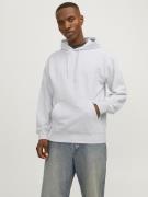 Jack & Jones Hoodie JJECHARGE SWEAT HOOD NOOS
