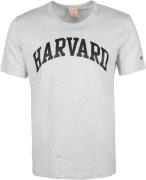 Champion T-Shirt Grijs Harvard