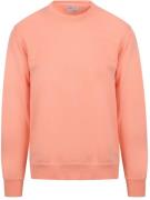 Colorful Standard Sweater Roze