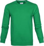 Colorful Standard Sweater Kelly Green