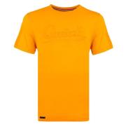 Q1905 T-shirt duinzicht mango