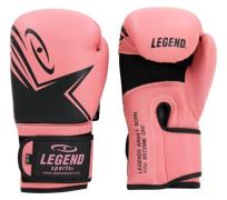 Legend Sports Ecofit bokshandschoenen dames pu