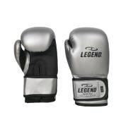 Legend Sports Kinder bokshandschoenen 4-8 jaar zilver 4oz/6oz pu