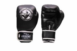 Legend Sports Remy bonjasky bokshandschoenen heren/dames zwart pu