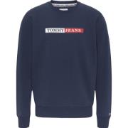 Tommy Hilfiger Reg essential graphic crew sweater