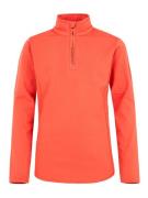 Protest fabrizoy jr 1/4 zip top -