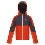 Regatta Kinder/kids acidity vi lichtgewicht soft shell jas