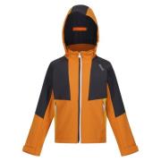 Regatta Kinder/kids haydenbury soft shell jas