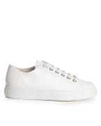 Paul Green Sneakers 4081