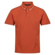 Regatta Heren tadeo polo shirt