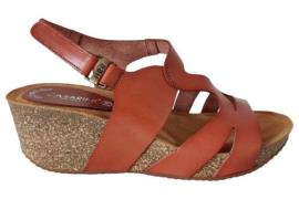 Casarini 24011 sandaal