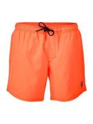 Brunotti iconic-n men swim shorts -