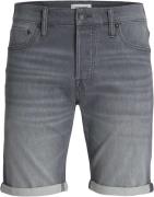 Jack & Jones Jjirick jjicon shorts