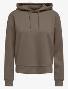 Only Play Lounge life hood ks sweat noos 15245850 walnut