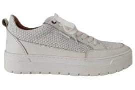 Poelman Lpvar sneaker