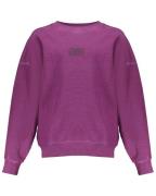 Frankie & Liberty Sweat fl24739 b