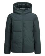 Jack & Jones Gilet 12262097