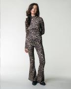 Colourful Rebel Broek wp116060 leopard