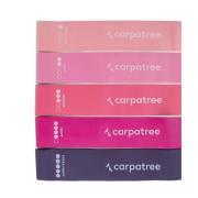 Carpatree Set ombre weerstandsband (set van 5)