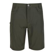 Regatta Heren delgado shorts