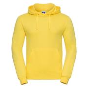 Russell Athletic Kleuren heren hooded sweatshirt / hoodie