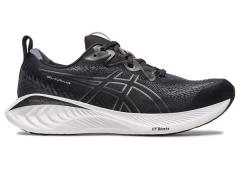 Asics Hardloopschoenen heren