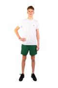 Lacoste Casual t-shirt heren