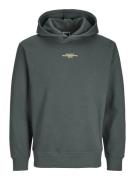 Jack & Jones Jcoalpha mountain print sweat hood