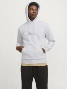 Jack & Jones Jcolima logo sweat hood bfln