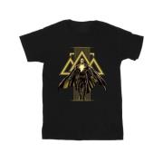 DC Comics Heren black adam rising gouden symbolen t-shirt