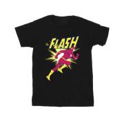 DC Comics Heren the flash hardloop t-shirt