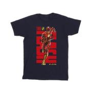 DC Comics Heren the flash dash t-shirt