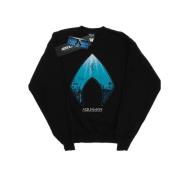 DC Comics Dames aquaman oceaan logo sweatshirt