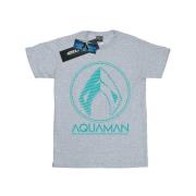 DC Comics Heren aquaman aqua logo t-shirt