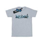 DC Comics Heren aquaman tekst logo t-shirt