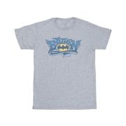 DC Comics Heren batman graffiti logo t-shirt