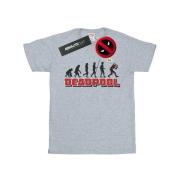 Marvel Avengers Dames deadpool evolution katoenen vriendje t-shirt