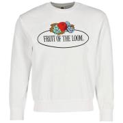 Fruit of the Loom Heren vintage sweatshirt met logoprint